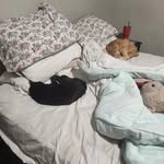 Amanda Marie Heldenbrand - @angel391980 - Instagram