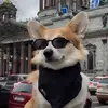 Amanda Helen - @amanda.helen.review99 - TikTok