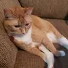amanda.helen21 - @amanda.helen21 - TikTok