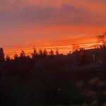 Amanda Iris Hellberg - @hellberg.a420 - Instagram