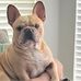 Amanda Helfrich Hult - Facebook