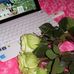 Amanda Hellmuth - Facebook