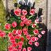 Mandy Hellmuth - Facebook