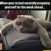 Amanda Hellwig - @amandahellwig - TikTok