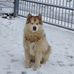 Mandy Hellwig - Facebook