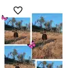 Mandy Hellwig - @mandy_hellwig - TikTok