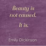Amanda Helmuth - @seibellabeautypreneur - Instagram