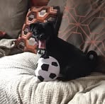 Amanda Hemmings - Facebook