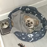 Amanda Hemmings - @ahemmings65 - Instagram