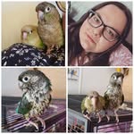 Amanda Hempen - @amandahempen - Instagram