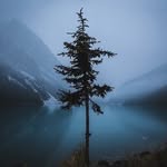 Amanda/CBD Oil - @amandahempworx - Instagram