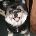 Amanda Hemphill - Facebook