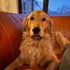 Amanda Hendrick - @amandahendrick0 - TikTok