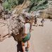 Amanda Heng - Facebook