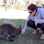 Amanda Willis Henkel - @amanda_willis_henkel - Instagram