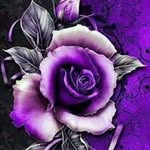 Amandahennessey@yahoo.com - @amandahennesseyyahoo.1566 - Instagram