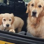 Amanda Hennessy - @hennessy9461 - Instagram