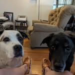 Amanda Hensley - @godnquads - Instagram