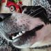Amanda Hensley - Facebook