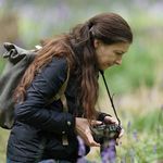 Amanda Hepburn - @hedgerowdetective - Instagram