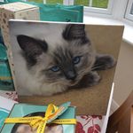 Amanda - @amanda__hepp - Instagram