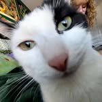 Amanda - @amanda_herber444 - Instagram