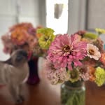 Amanda Hermann - @hermann745 - Instagram