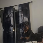 Amanda Herrington - @herringtonamanda3 - Instagram