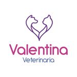 Amanda Hidalgo Vara - @valentina_veterinaria - Instagram
