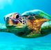 Amanda Hilerio - Facebook