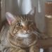 Manda Hodges - Facebook