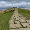 amandahodgson7 - @amandahodgson7 - TikTok