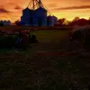 Amanda hofer - @mandyh0f3r - TikTok