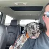 amandahofer733 - @amandahofer733 - TikTok