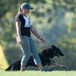 Amanda Homan - @completecanine10 - Instagram