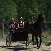 Amanda Hoss - @amandahoss5 - TikTok