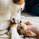 Amanda Hostetter - @amandawillard04 - Instagram