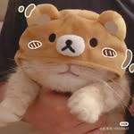 Amanda Wong - @amandahuey_ - Instagram
