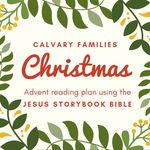 Amanda Iles - @calvaryfamilieschristmas - Instagram