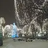 amandainman92 - @amandainman92 - TikTok
