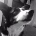 Amanda Innes - Facebook