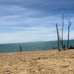 Amanda Irving - @treeblossomn - Instagram