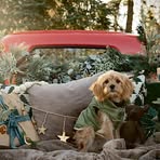 Amanda Izzi - Facebook