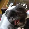 amandaizzi64 - @amandaizzi64 - TikTok