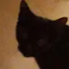 amanda.jack - @amanda.jack - TikTok
