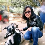 Amanda JIN - @amandajin82 - Instagram