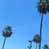 BiNg - @amanda_jin - TikTok