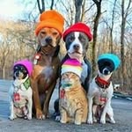 Amanda Jonathan - @amanda.jonathan.9277 - Instagram
