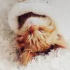 Maryam Al-najm - @amanda.jonathan - TikTok