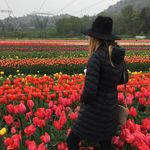 Amanda Jonker - @amanda_jonker - Instagram